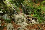 2014-07-05_Laengental-N-Hochweg (459). JPG